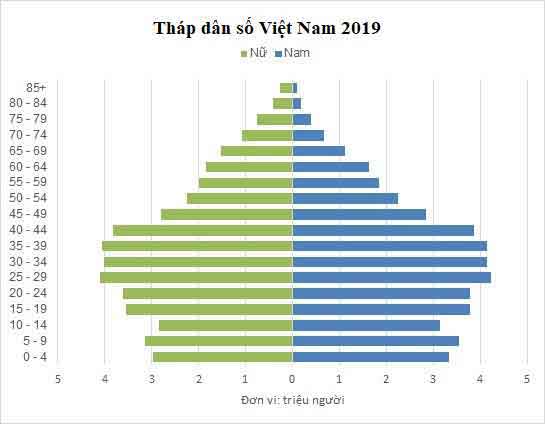 Hướng dẫn cách vẽ biểu đồ tháp dân số Việt Nam với Excel 2022