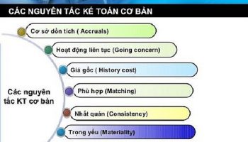 7 nguyên tắc kế toán và ví dụ minh hoạ mới nhất